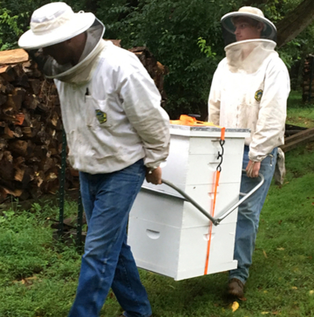 Bee Hives Arrive 640